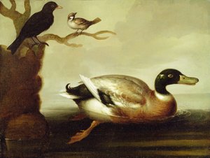 Wilde Eend en Andere Vogels, c.1700